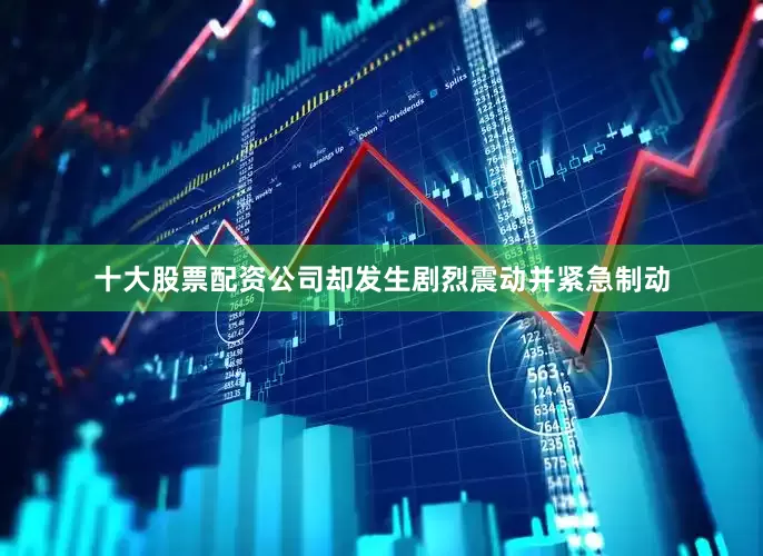 十大股票配资公司却发生剧烈震动并紧急制动